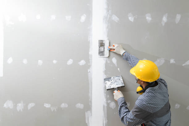 Best Asbestos and Lead Testing During Mold Inspection  in Trotwood, OH