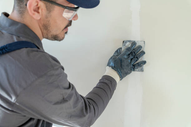  Trotwood, OH Mold Removal Pros
