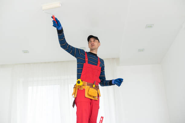 Best Basement Mold Removal  in Trotwood, OH