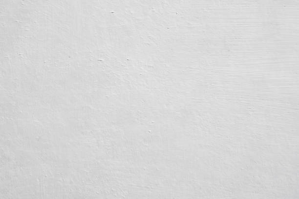 Best Mold Odor Removal Services  in Trotwood, OH
