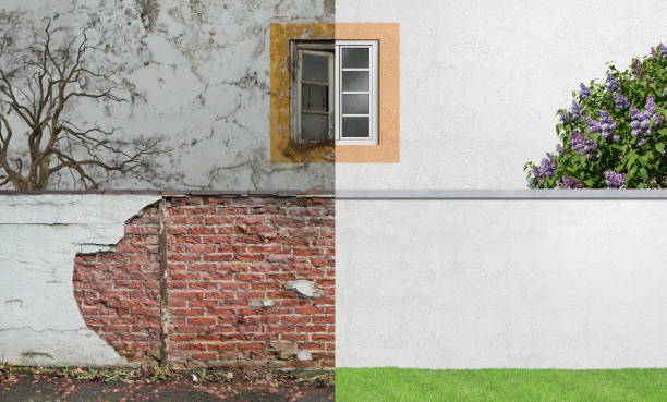 Best Real Estate Mold Inspection  in Trotwood, OH