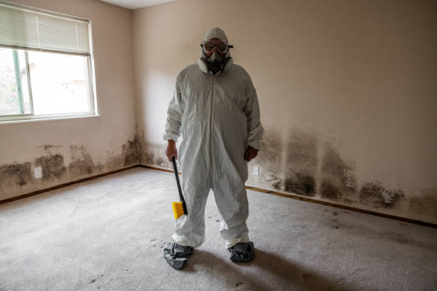 Best Airborne Mold Testing  in Trotwood, OH
