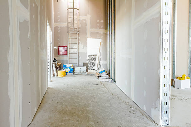 Best Emergency Mold Remediation  in Trotwood, OH