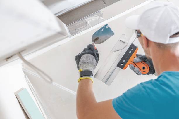 Best Mold Documentation for Insurance Claims  in Trotwood, OH